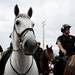 Washtenaw County Sheriff deputies ride horses in the Ypsilanti Memorial Day Parade on Monday, May 27. Daniel Brenner I AnnArbor.com